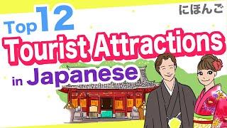 Top 12 Tourist Attractions in JapaneseFish market Shrine Garden Hot spring Museum etc