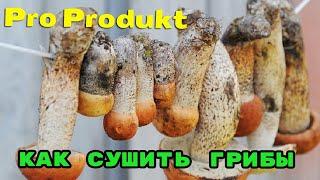 Как сушить грибы из которых можно готовить суп