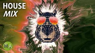 Upbeat Study Music Deep Focus House Mix Capybara - Isochronic Tones