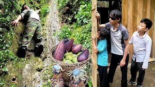 Huong went into the jungle to harvest stone crabs and slipped and fell down a cliff