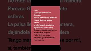 KAROL G - S91 lyrics spotify version