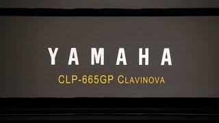 Yamaha Clavinova CLP-665GP Digital Piano