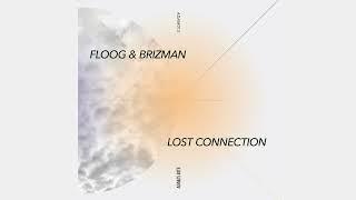 Floog & Brizman - True Believer feat Linn Stern ADAM013