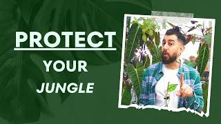 Fight Back Surprising Facts About Common Plant Pests