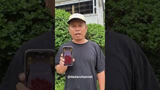 MINUMAN SEGER DIGITAL BIKIN PUASA GAK BATAL BADAN JADI SEGER #art #komedi #creatif #shortvideos