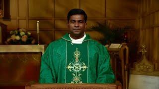 Sunday Catholic Mass Today  Daily TV Mass Sunday August 25 2024