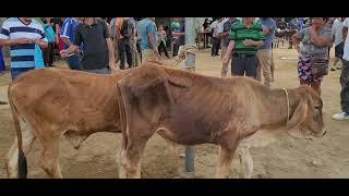 Sábado de Tiangue en Santa Elena Usulutan El Salvador On 18032023