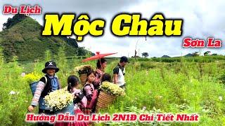 Du Lịch Mộc Châu Sơn La 2N1Đ  Hướng Dẫn Những Điểm Tham Quan Mới Nhất