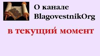 О канале BlagovestnikOrg в текущий момент