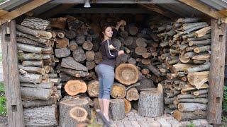 Girl Couldnt Stand the Sight of Scattered Firewood So I Satisfied Her with this Building