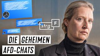 Geheime Chatgruppe So redete die AfD-Fraktion im Bundestag  STRG_F