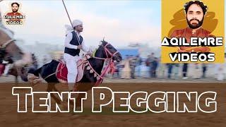 Tent Pegging Event  Tent Pegging Mianwali Pakistan #aqilemre #tentpegging #riders #horse #rider