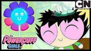 Technology War  Powerpuff Girls  Cartoon Network