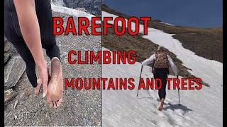 BAREFOOT CLIMBING MOUNTAINS AND TREES  #barefootlife #barefoot #barefootwalking #mountains #trees