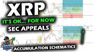 XRP PRICE CHART as SEC Files Appeal Against Ripple Price Sits within Support Range Looking Ahead