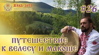 ПУТЕШЕСТВИЕ К ВЕЛЕСУ И МАКОШЕ. Школа Живы и Жива-Ярги. #26 Владимир Куровский