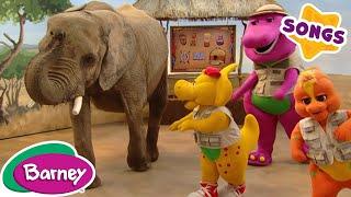 Old MacDonald Bingo + More Animal Songs and Nursery Rhymes For Kids  Barney the Dinosaur