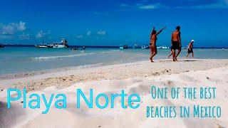 Playa Norte Isla Mujeras beach walk best in Mexico No seaweedsargassum