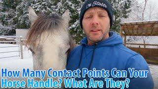 Understanding Why Horses Sometimes Cant Handle Being Touched Or Saddled