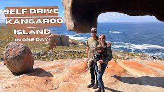 Can You Self-Drive Kangaroo Island in 1 Day?