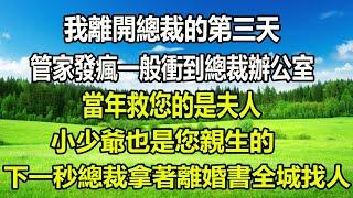 我離開總裁的第三天，管家發瘋一般衝到總裁辦公室：當年救您的是夫人，小少爺也是您親生的，下一秒總裁拿著離婚書全城找人