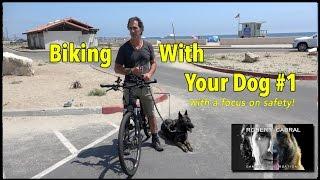 Biking With Your Dog - The How To Video - Dog Training and Safety