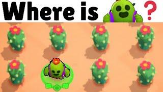 How Brawlers Hide