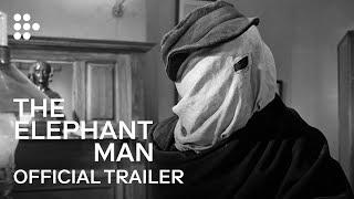 THE ELEPHANT MAN  Official Trailer  MUBI