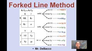 Forked Line Method