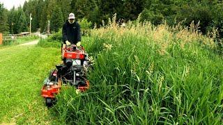 Helped My Wifes Friend MOW Her Overgrown GRASS That Was TALLER Than Me