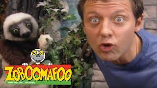 Zoboomafoo 209 - H2O Full Episode