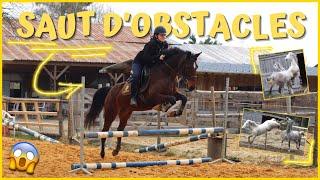 COURS Saut dobstacles et chevaux surexcités  270321 - CSo Landreau