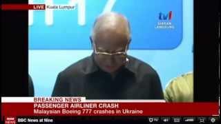 Malaysia Airlines Flight MH17 crashes in Ukraine 295 dead