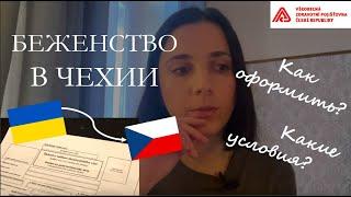 БЕЖЕНСТВО В ЧЕХИИ I Как оформить беженство I Где найти помощь украинцам