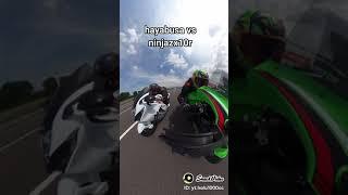 hayabusa vs ninjazx10r