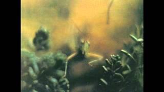 Steely Dan - Katy Lied 1975 Studio Album 08 Chain Lightning