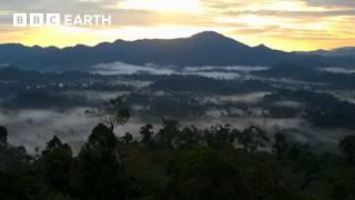 10 Hours of Relaxing Nature Scenes  BBC Earth