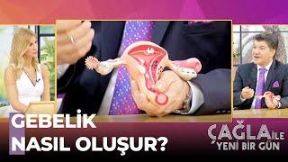 Hamile Kalma Şansı Nasıl Arttırılır - Çağla İle Yeni Bir Gün 597. Bölüm