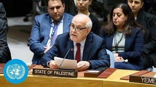 Full IsraelPalestine Resolution Passes in Security Council  Calling for Immediate Ceasefire
