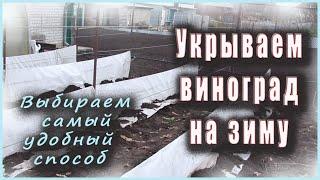 Укрытие винограда на зиму выбираем самый удобный способ.