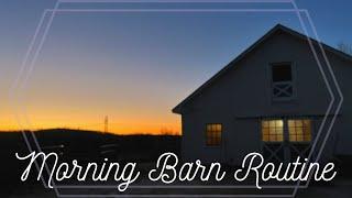 MORNING BARN ROUTINE & Feeding the Horses  Winter 2023 Barn Chores & EQUESTRIAN VLOG