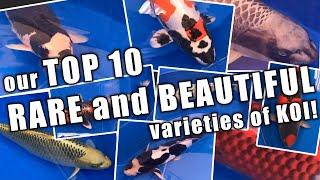 Our TOP 10 RARE and BEAUTIFUL varieties of KOI