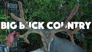 Big Buck Country A High Country Archery Mule Deer Hunt