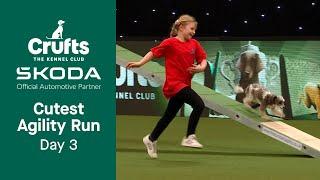 Your CUTEST Agility run from Day 3  Crufts 2023