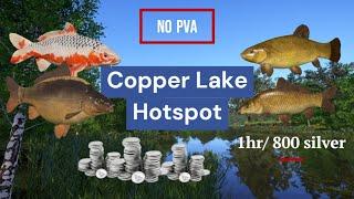 Active spot no PVA Copper Lake  Russian Fishing 4  RF4