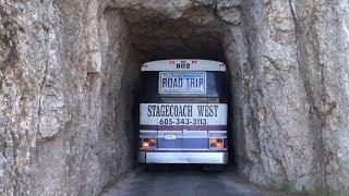 Bus drives through the tunnel on the Needles Highway