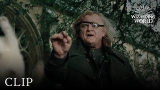 Professor Mad-Eye Moody vs. Draco  Harry Potter and the Goblet of Fire