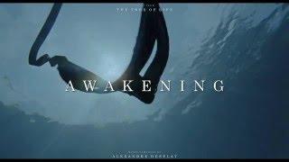 The Tree of Life Soundtrack - Awakening