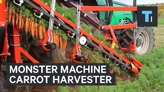 This monster machine is the ultimate carrot harvester