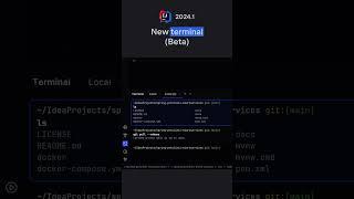 IntelliJ IDEA 2024.1 New terminal Beta